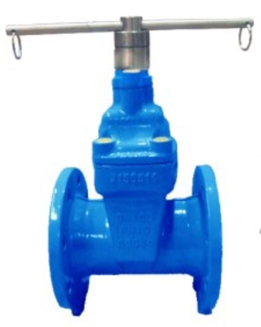 Resilient Seated Gate Valve with Magnetic Lock