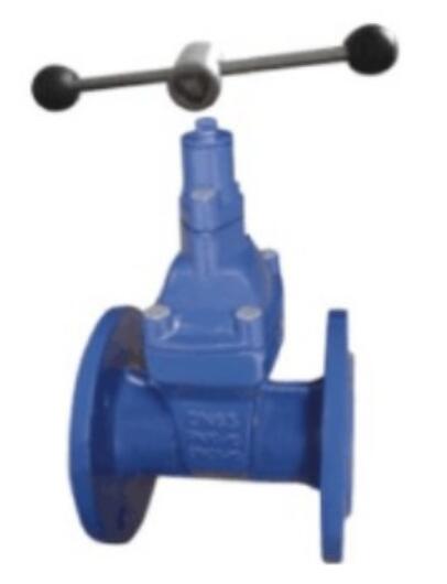 Resilient Seated Gate Valve with Mechanical Lock