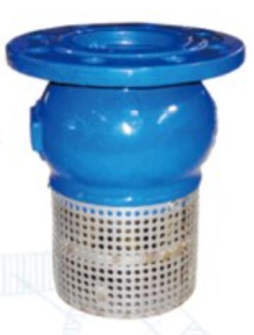 Foot Valve