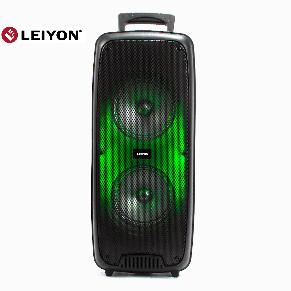 Double 6.5 inch bluetooth Party Speaker