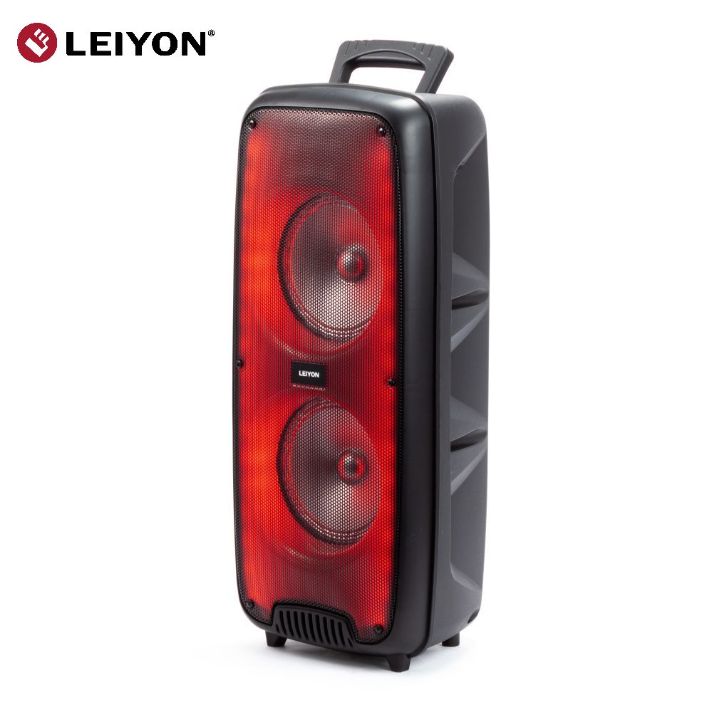 Dual 6 Inch Party Box High Power Portable Wireless Bluetooth Party Speaker With Colorful LED Lights