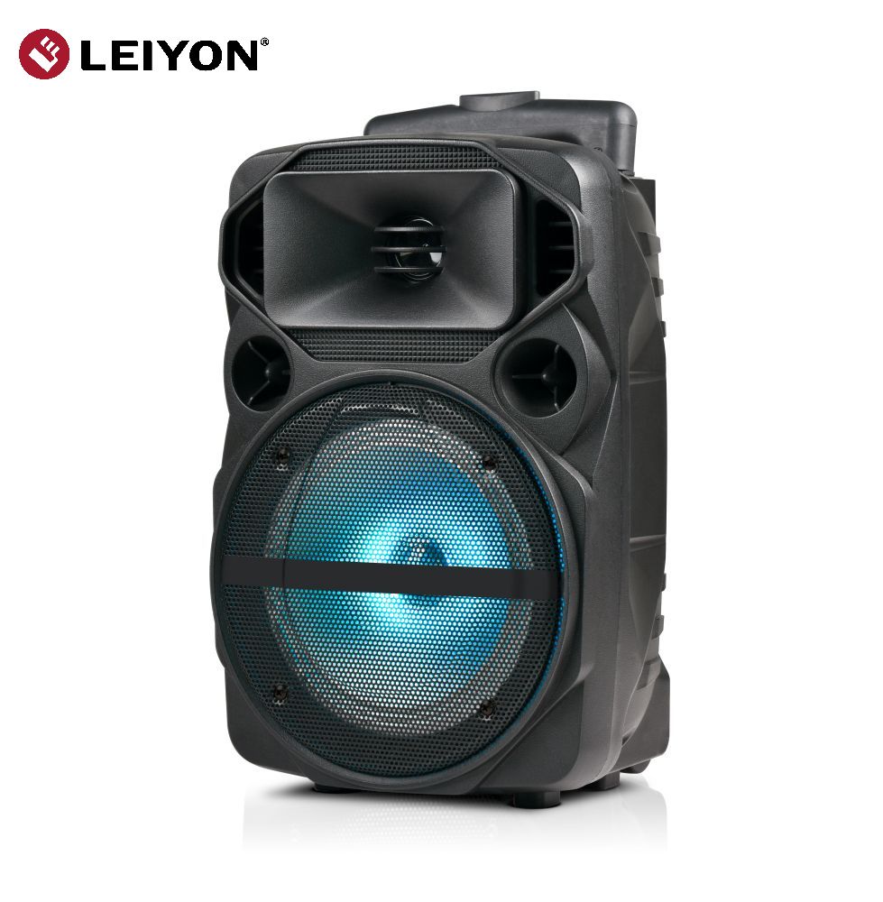 8 inch Wireless TWS Bluetooth speaker