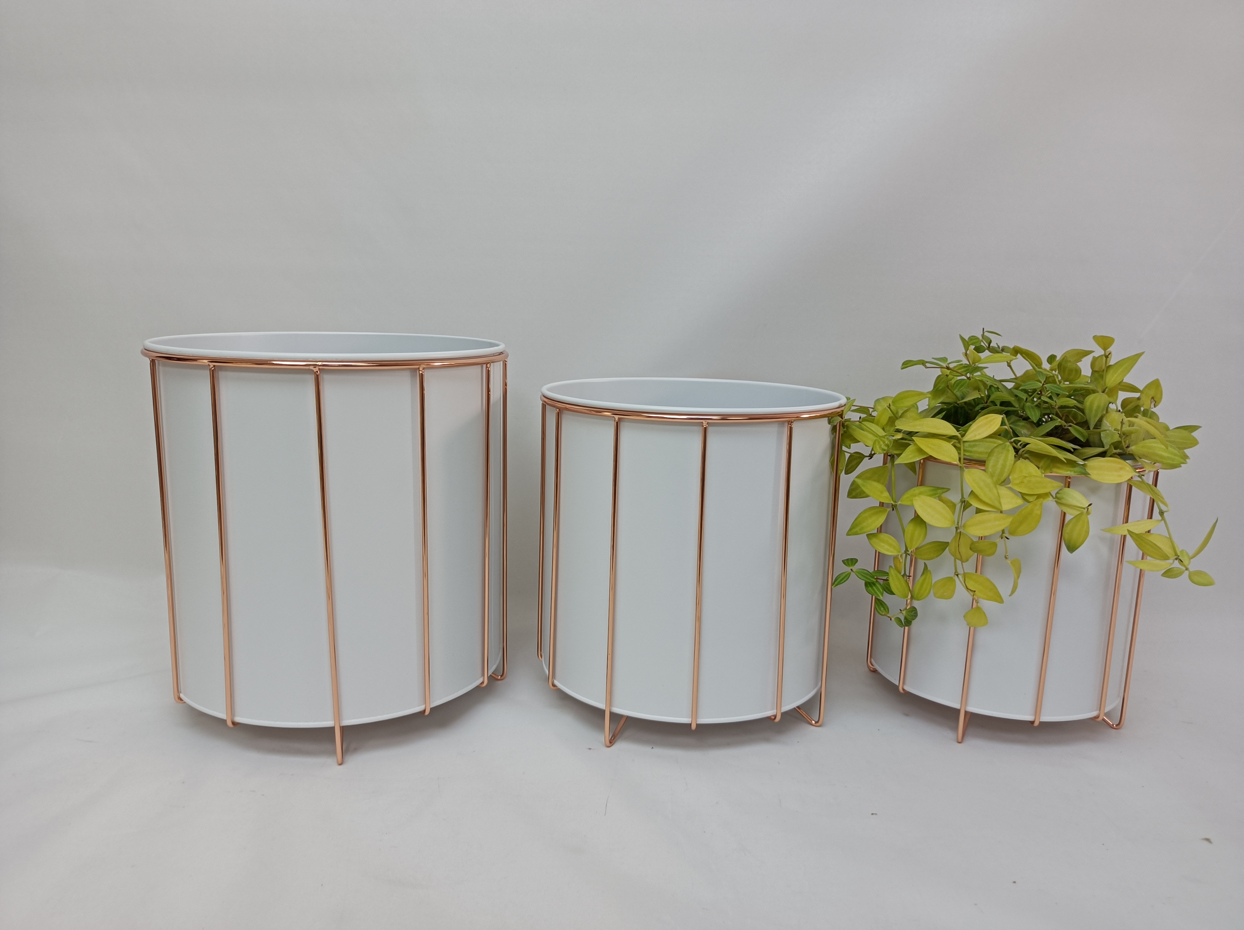 Jiangmen City Jasion Houseware Company Limited – caja de regalo 4