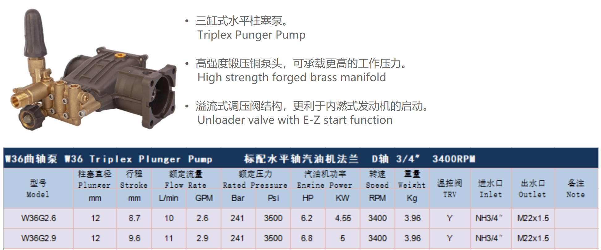 Triplex Plunger Pump