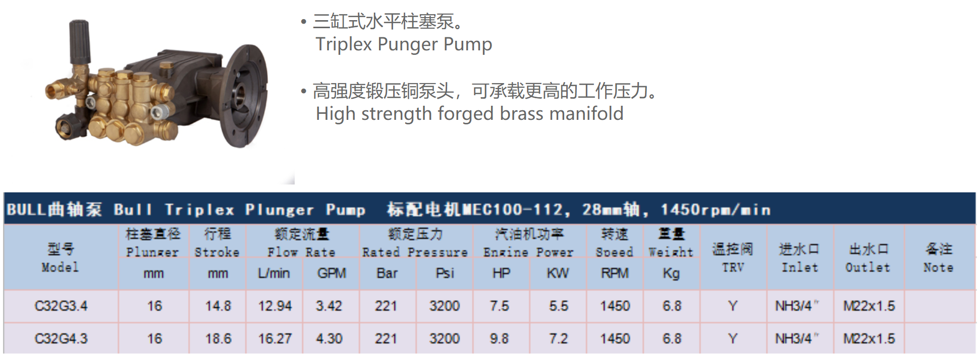 Triplex Plunger Pump