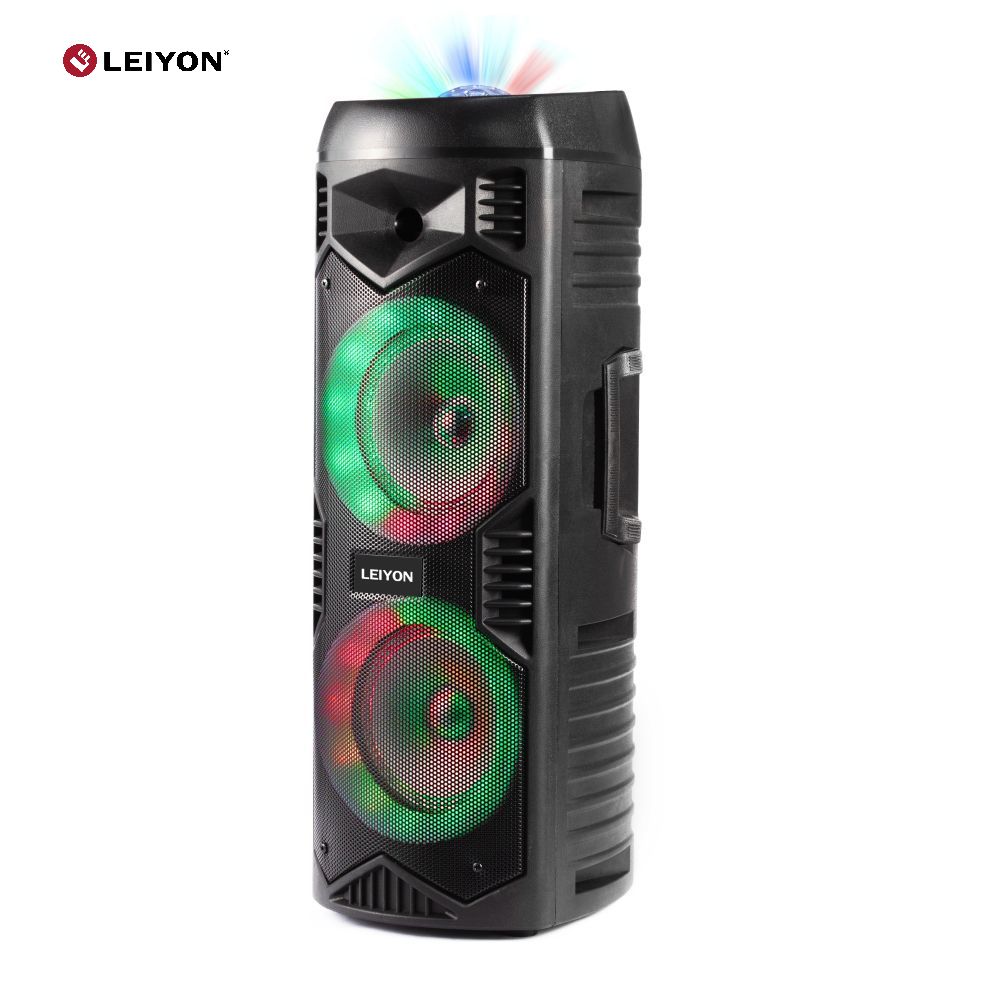 15W Double 8 inch Bluetooth Speaker with LED Light and Disco Ball D08O Wireless Bluetooth PA Speaker
