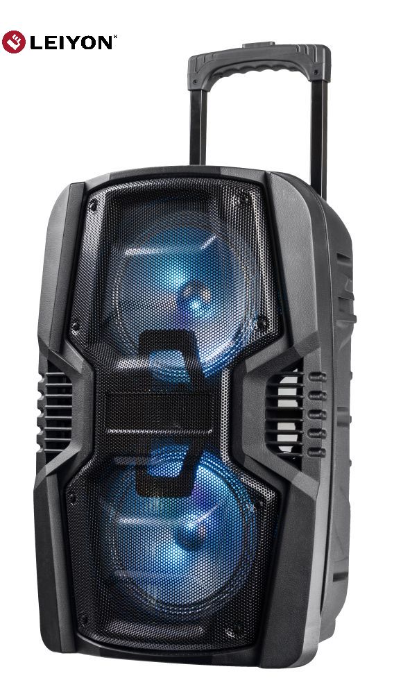 Double 10 inch Portable Bluetooth Speaker，outdoor speaker,party speaker