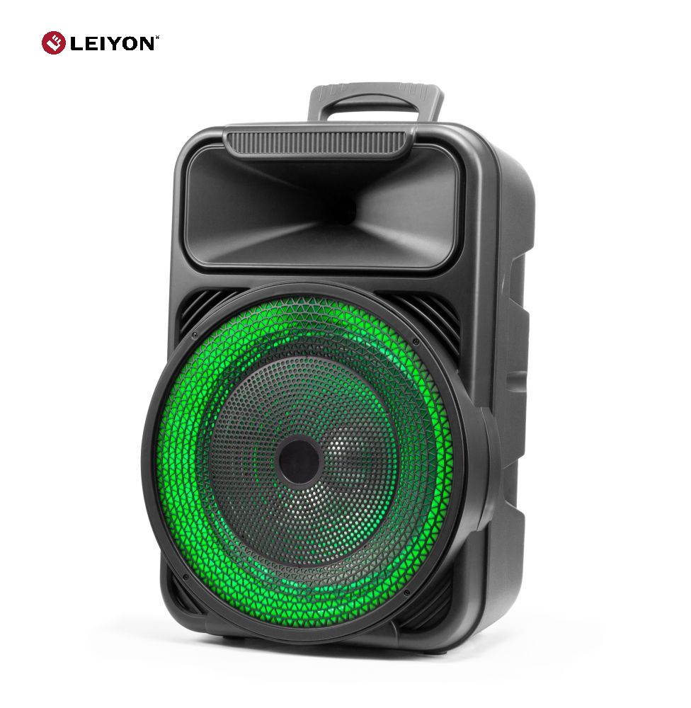 12 Inch Fashion Portable With LED Light Wireless BT Party Speaker BX1233