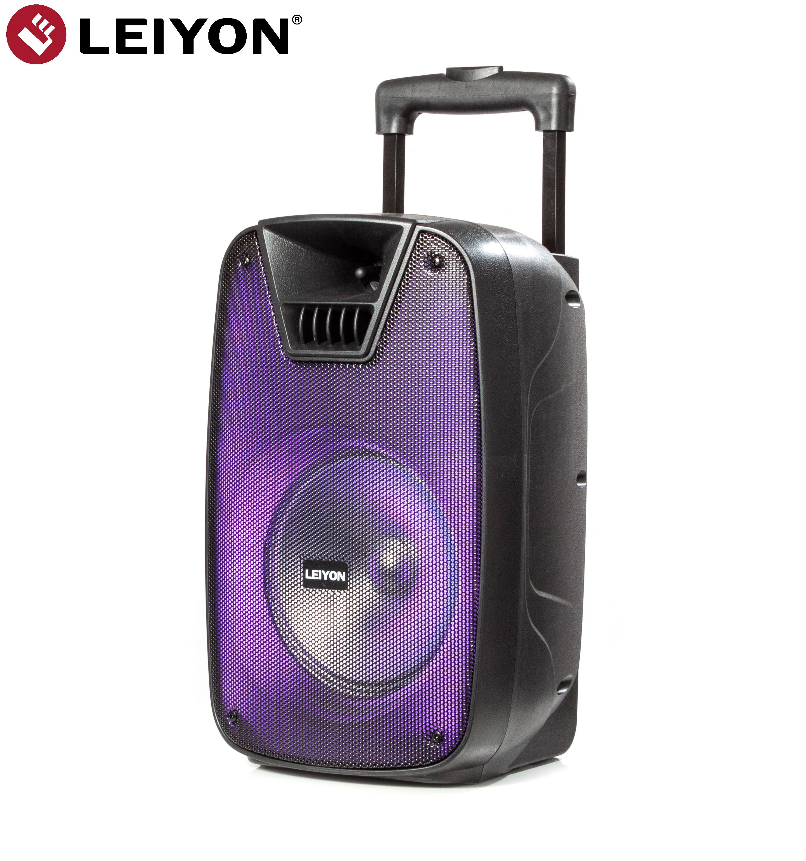 8 inch audio Karaoke trolley Bluetooth dj speaker
