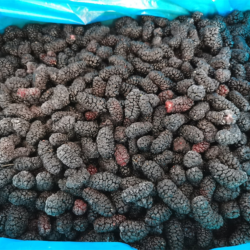 XIAMEN VEI-MEI TRADE CO., LTD. – Black fungus 2