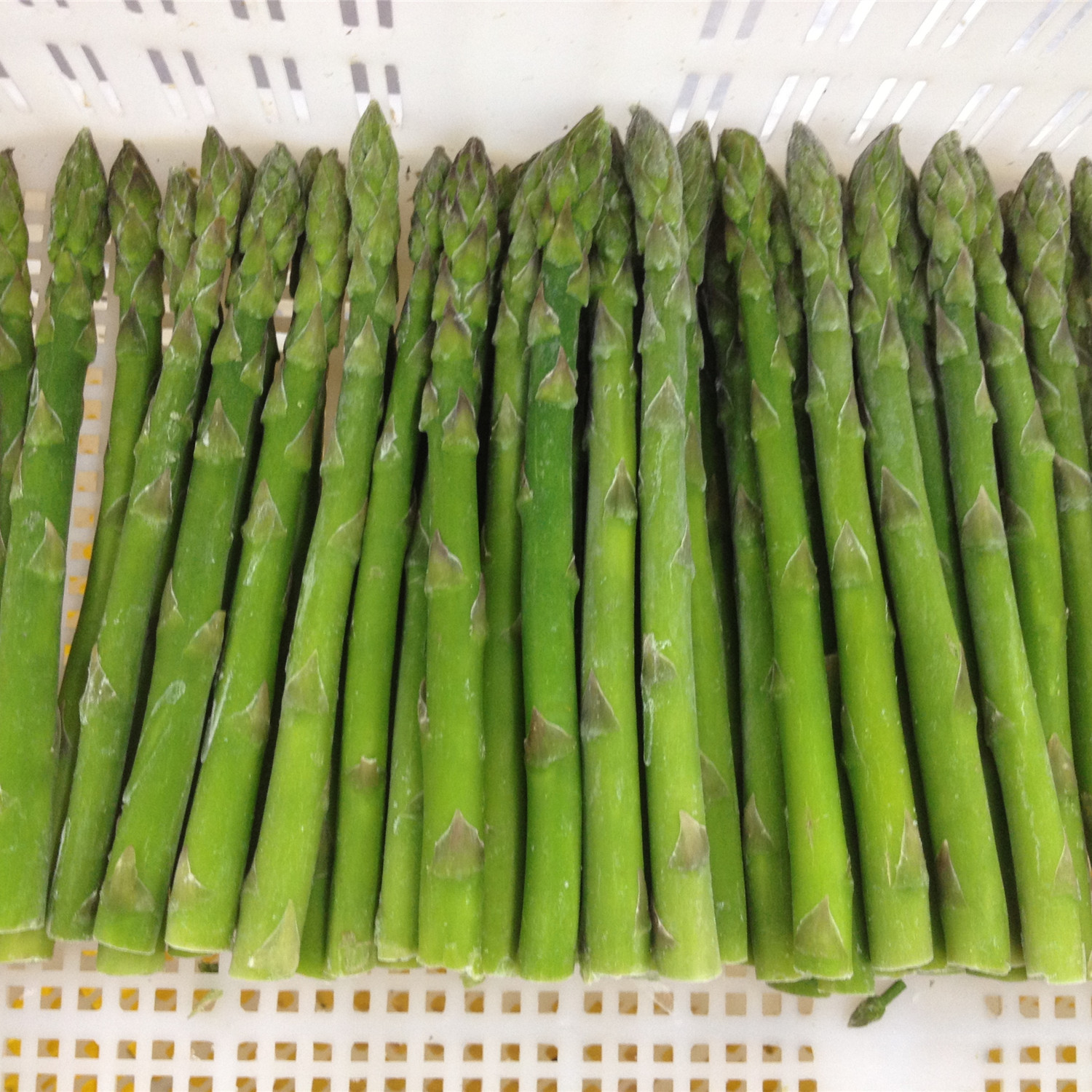 XIAMEN VEI-MEI TRADE CO., LTD. – Frozen foods 4