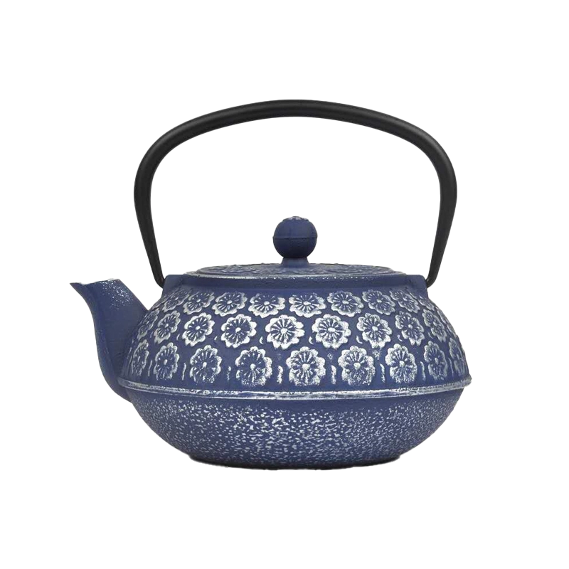 Cast Iron Teapot
