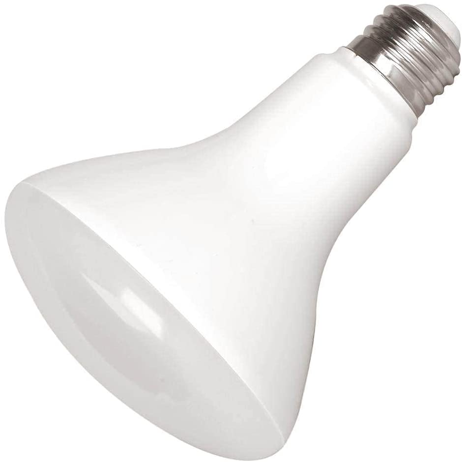 Br30 LED LAMP