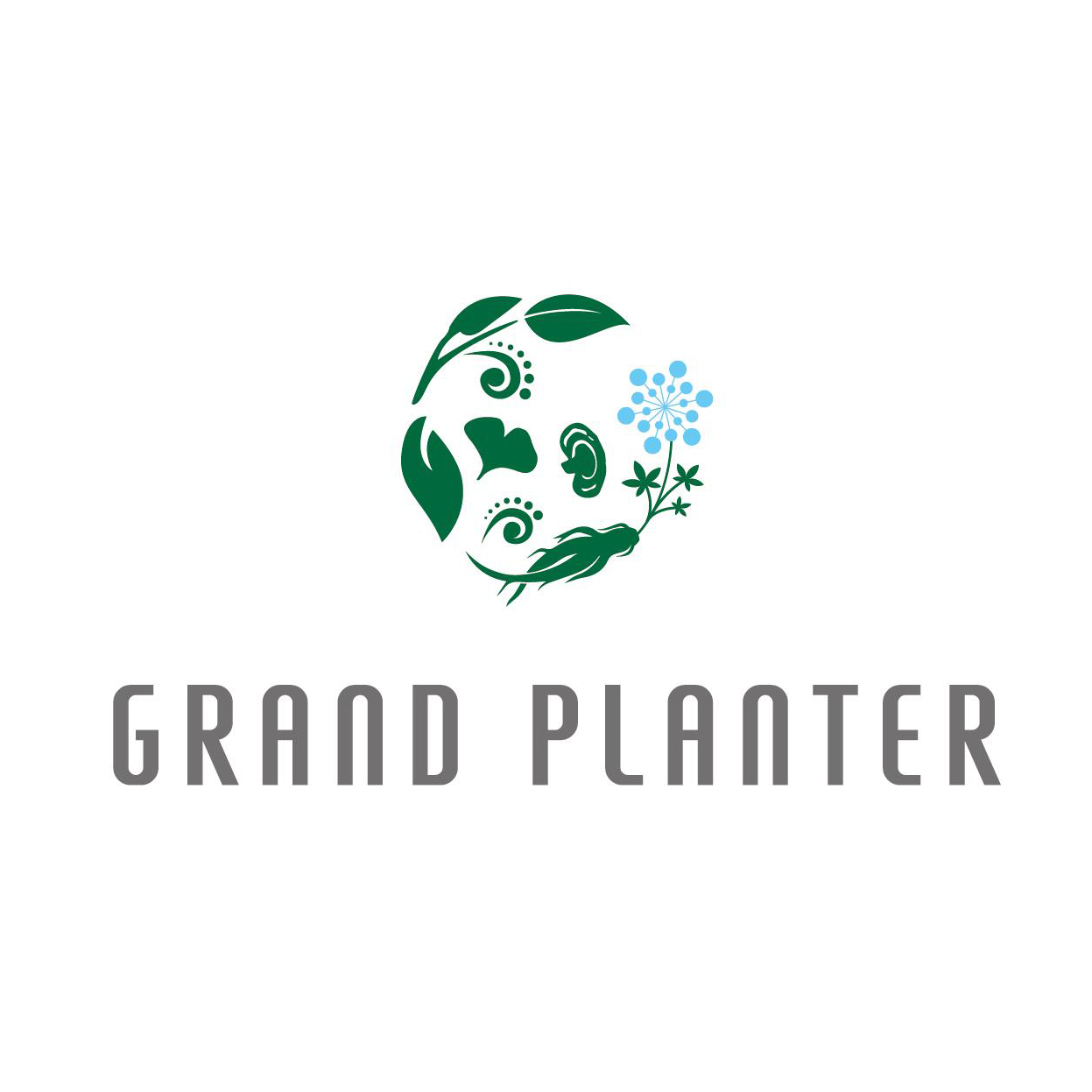 Huangshan Shennong Huifeng Herbal Ecological Farm Co., Ltd.