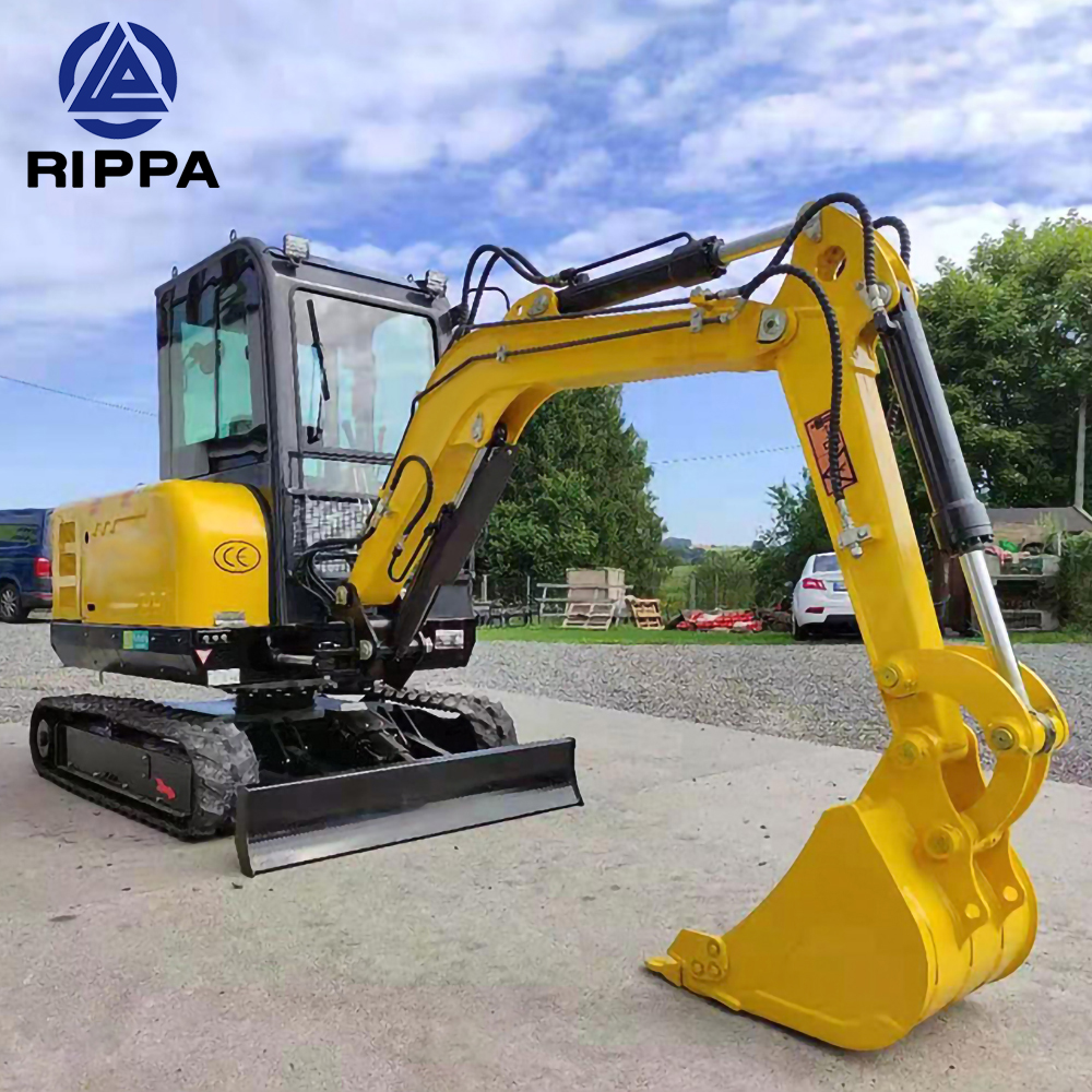 Shandong Baisway Machinery Co., Ltd – Forklifts 3