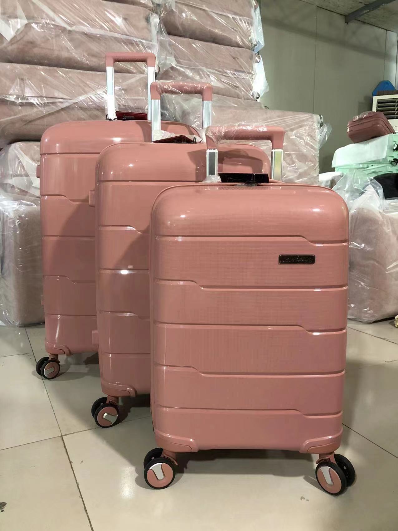 PP luggage bag