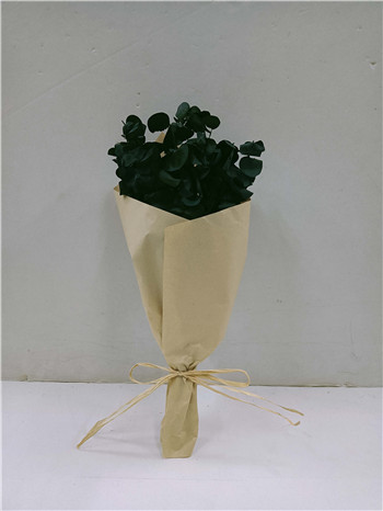 Eucalyptus Dried Flowers Bouquet