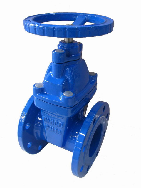Resilient Seat gate valves