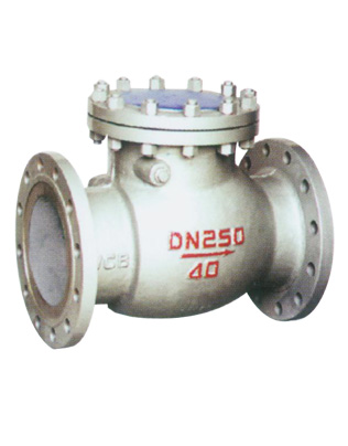 Check valve