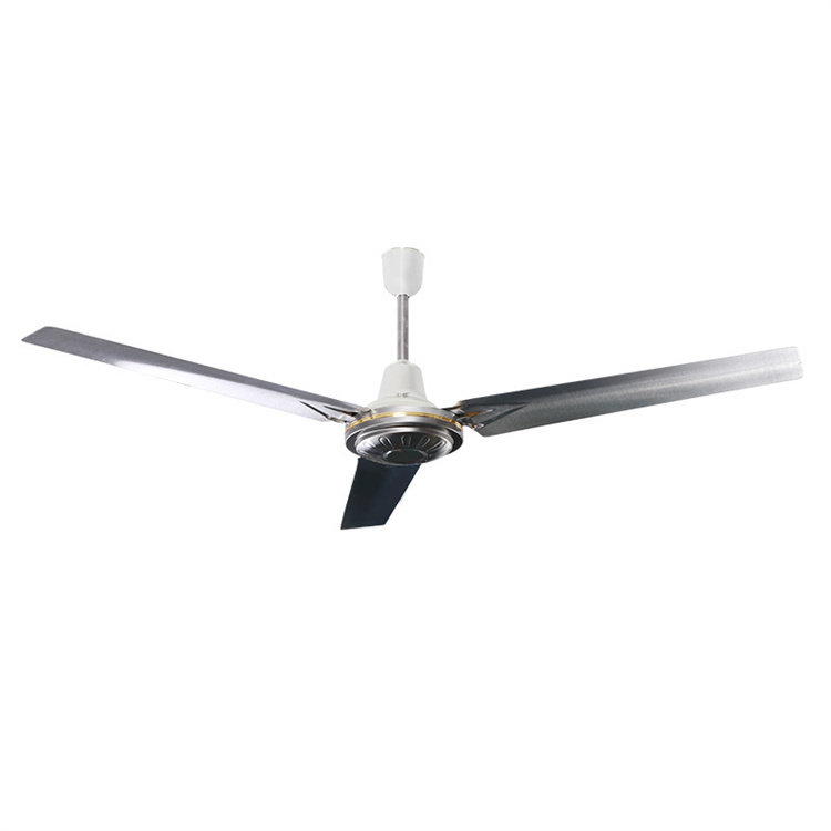 3 blade stainless steel ceiling fans