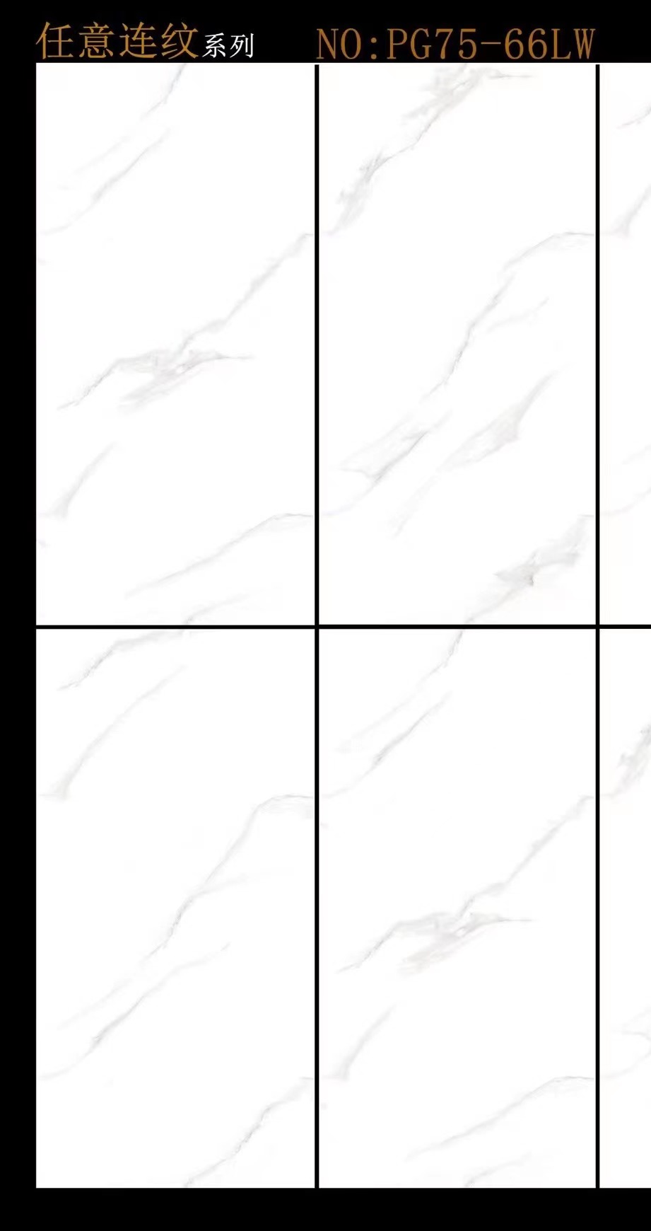 Full polished tiles
