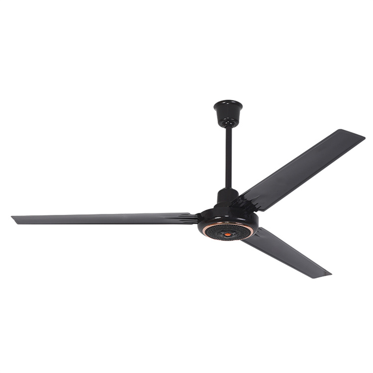 coastal looking ceiling fans
