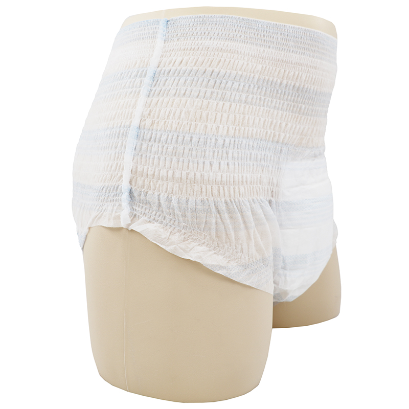 LYNN Customized Disposable Incontinence Aid Underpants Postpartum Diaper Underwear