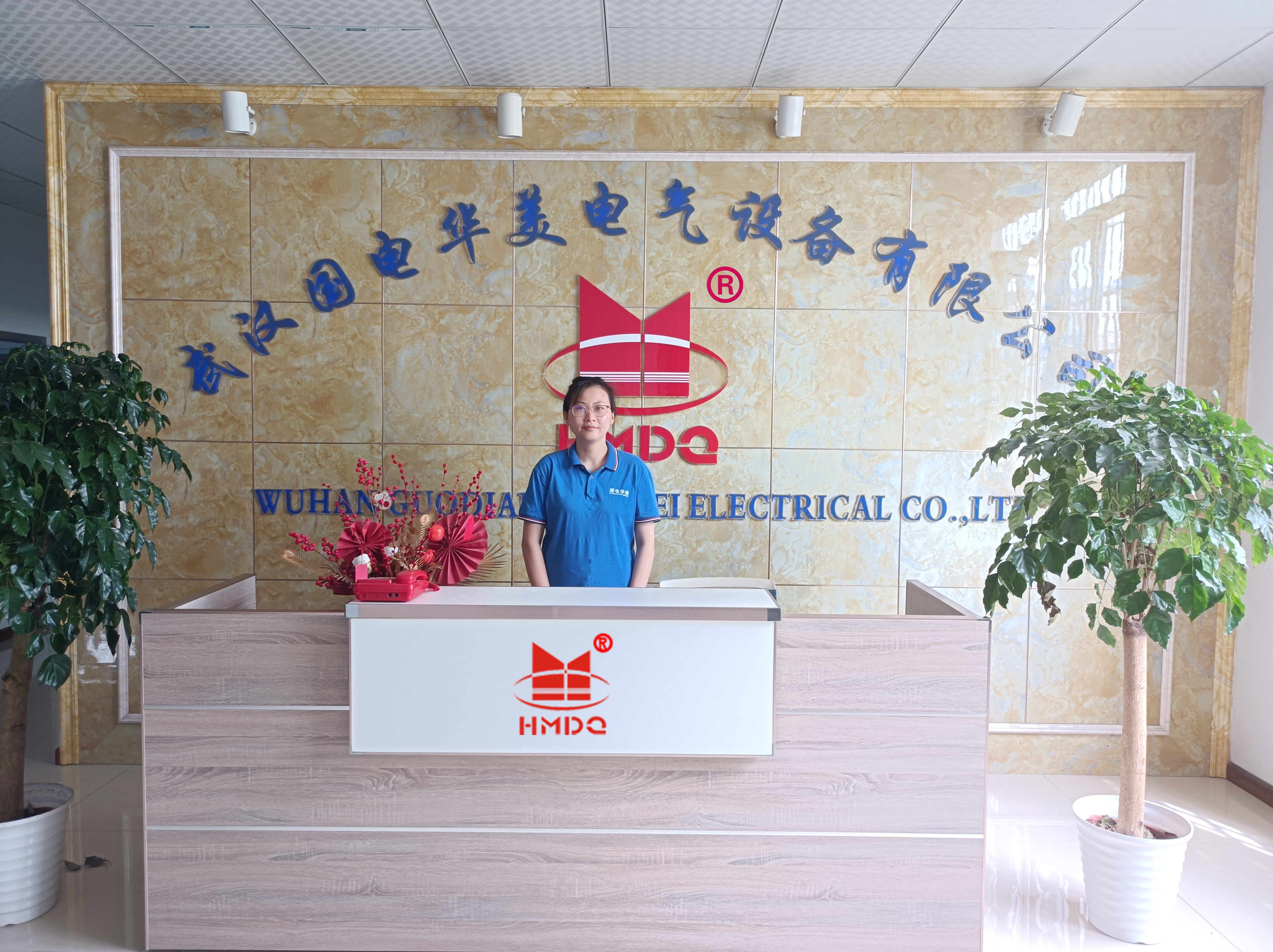 Wuhan Guodian Huamei Electrical Equipment Co., Ltd. – Product photos 2