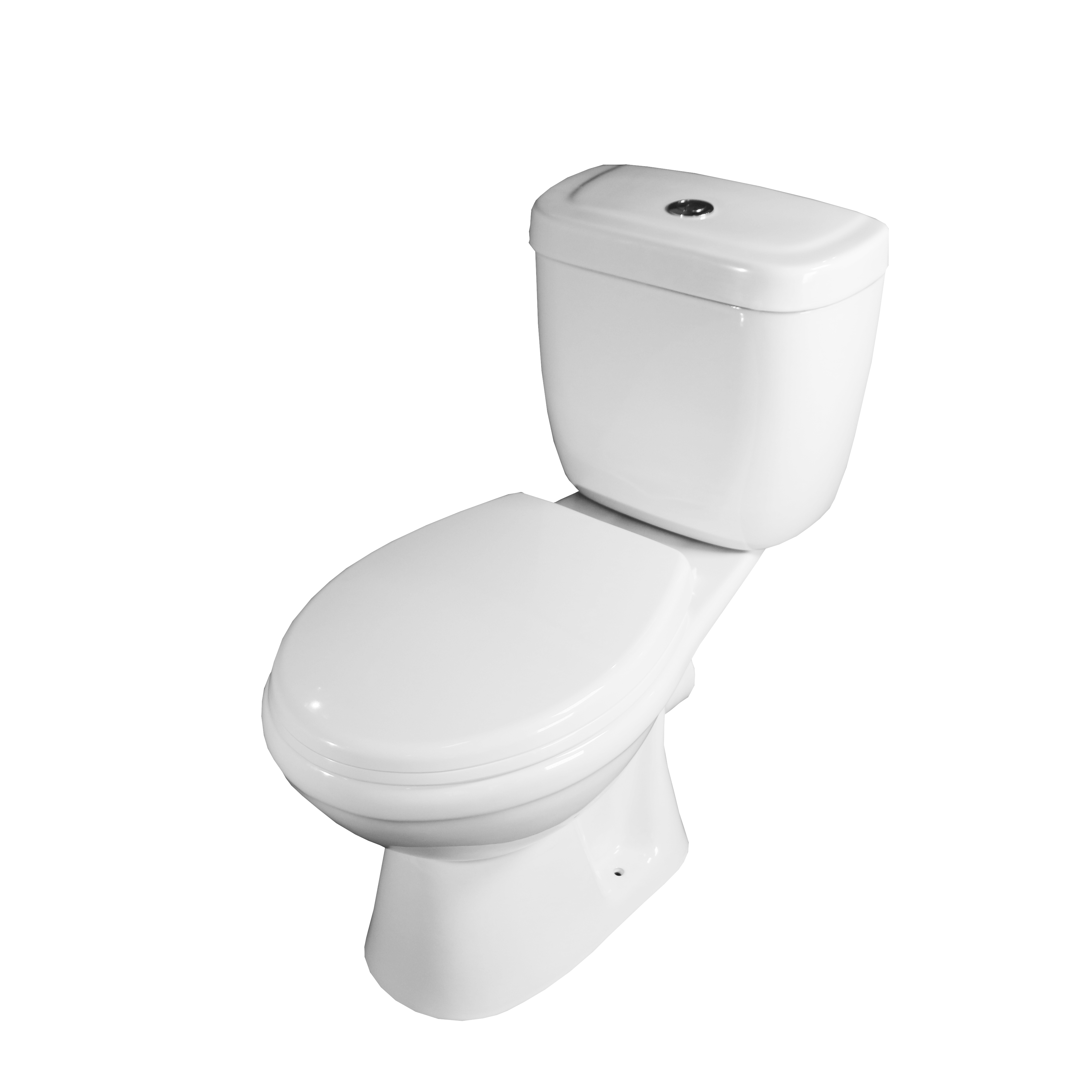 LR-C639 European Style Two-piece washdown toilet