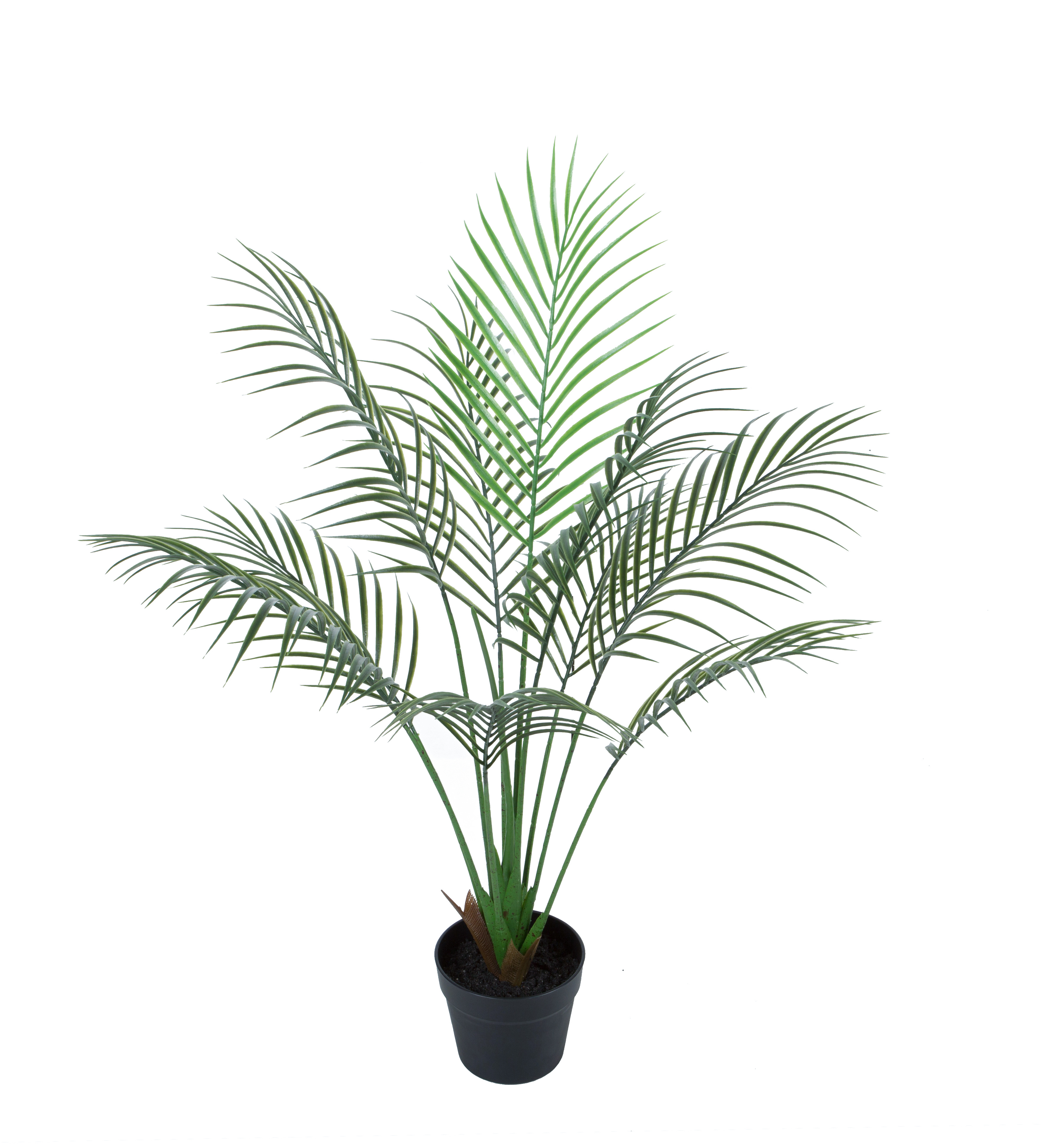 Plastic palm w/pot