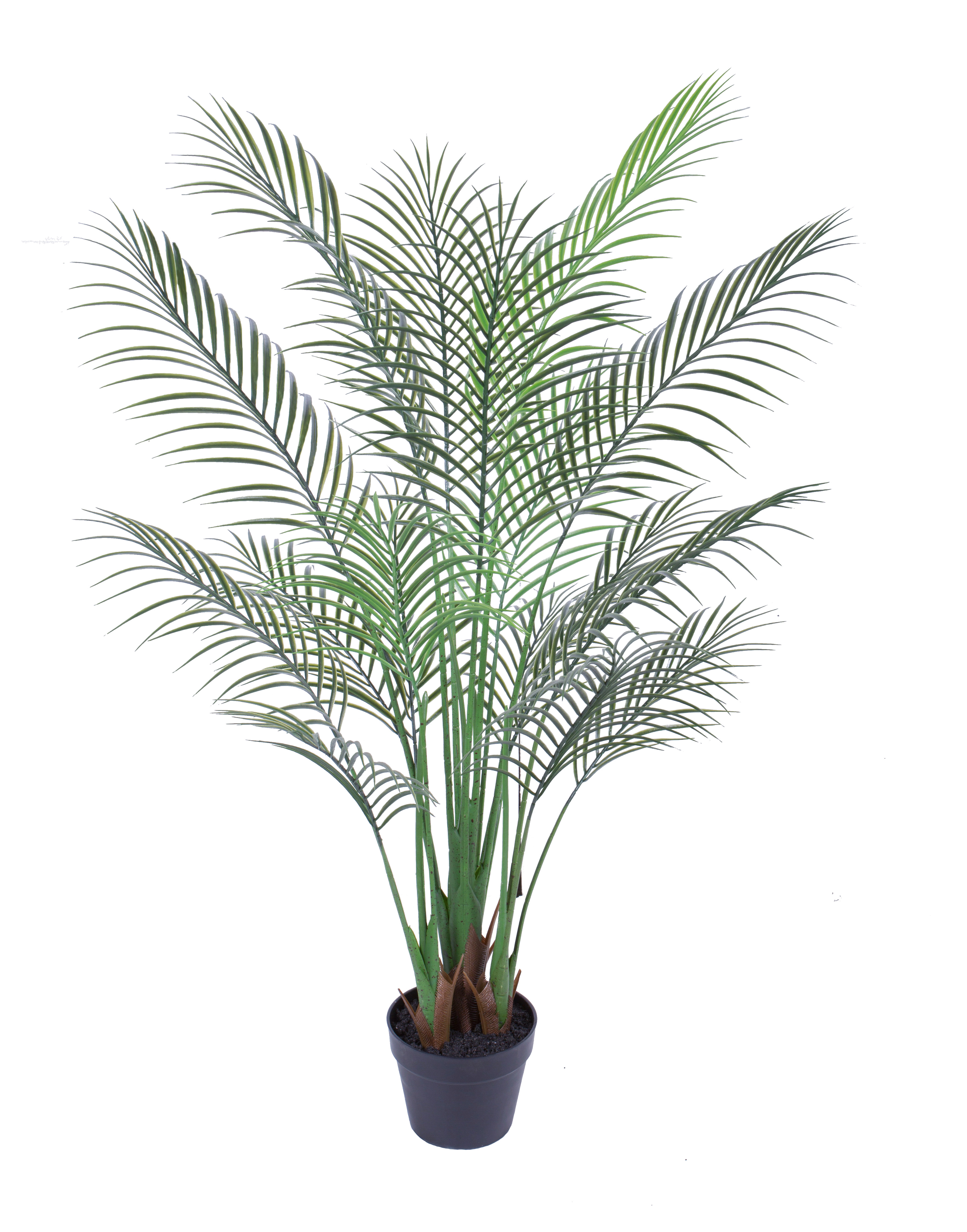 Plastic palm w/pot