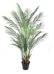 Plastic palm w/pot