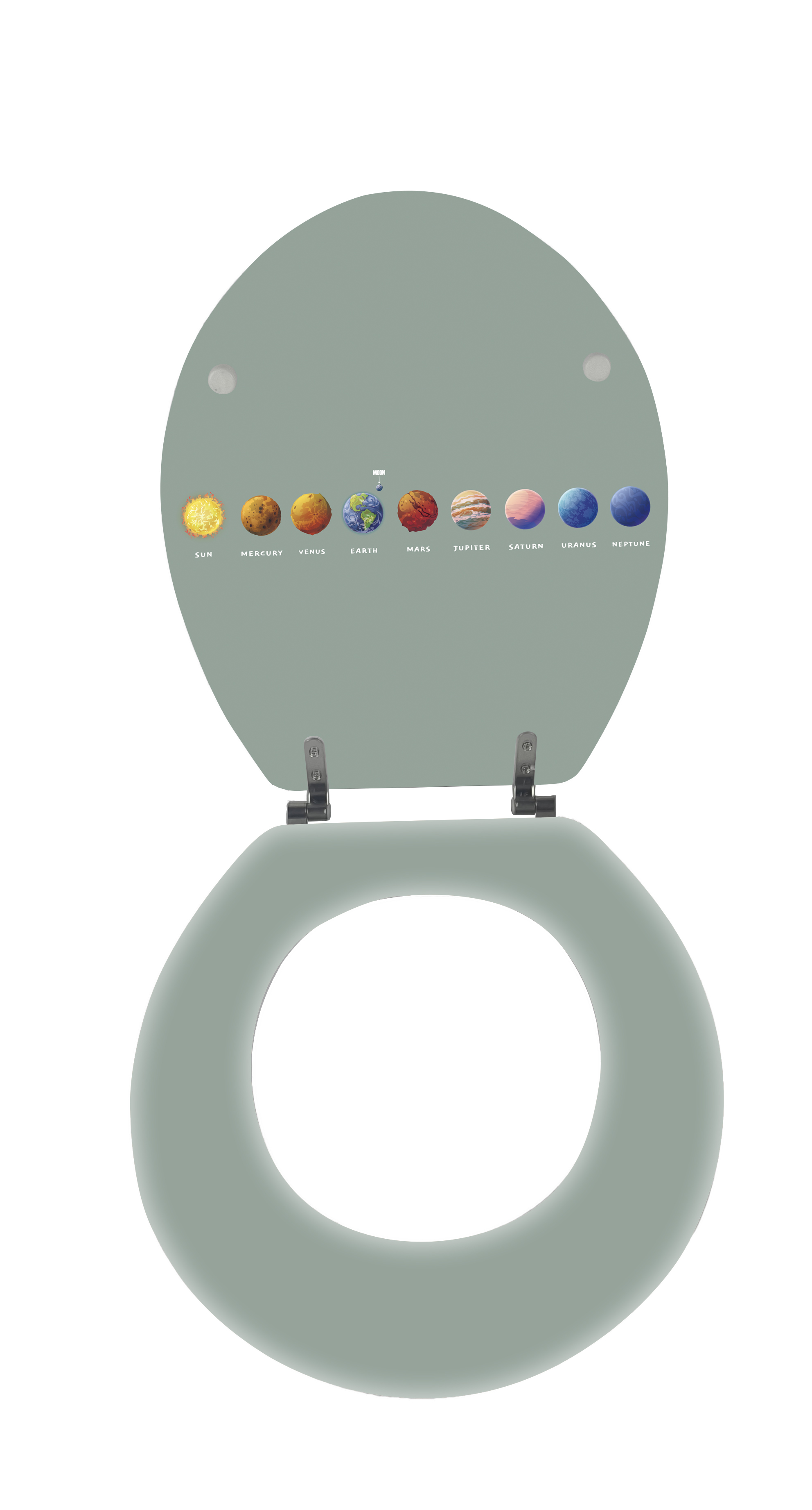 Diy Printed Toilet Seat
