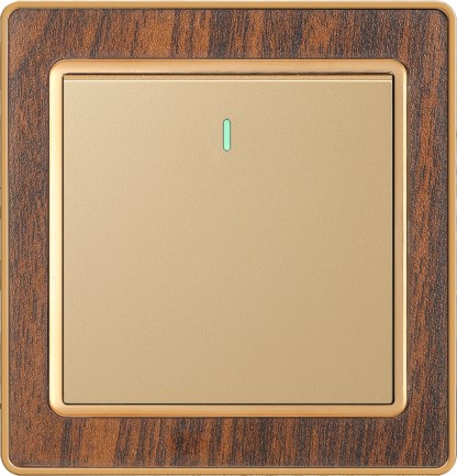 Switch, socket