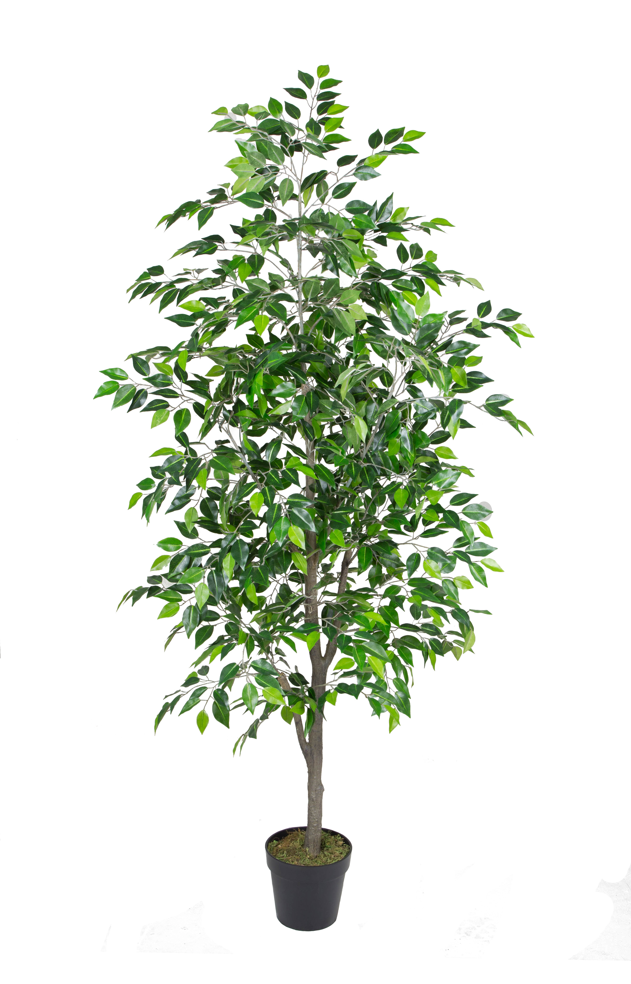 180CM plastic pole, Mini Banyan (all green)