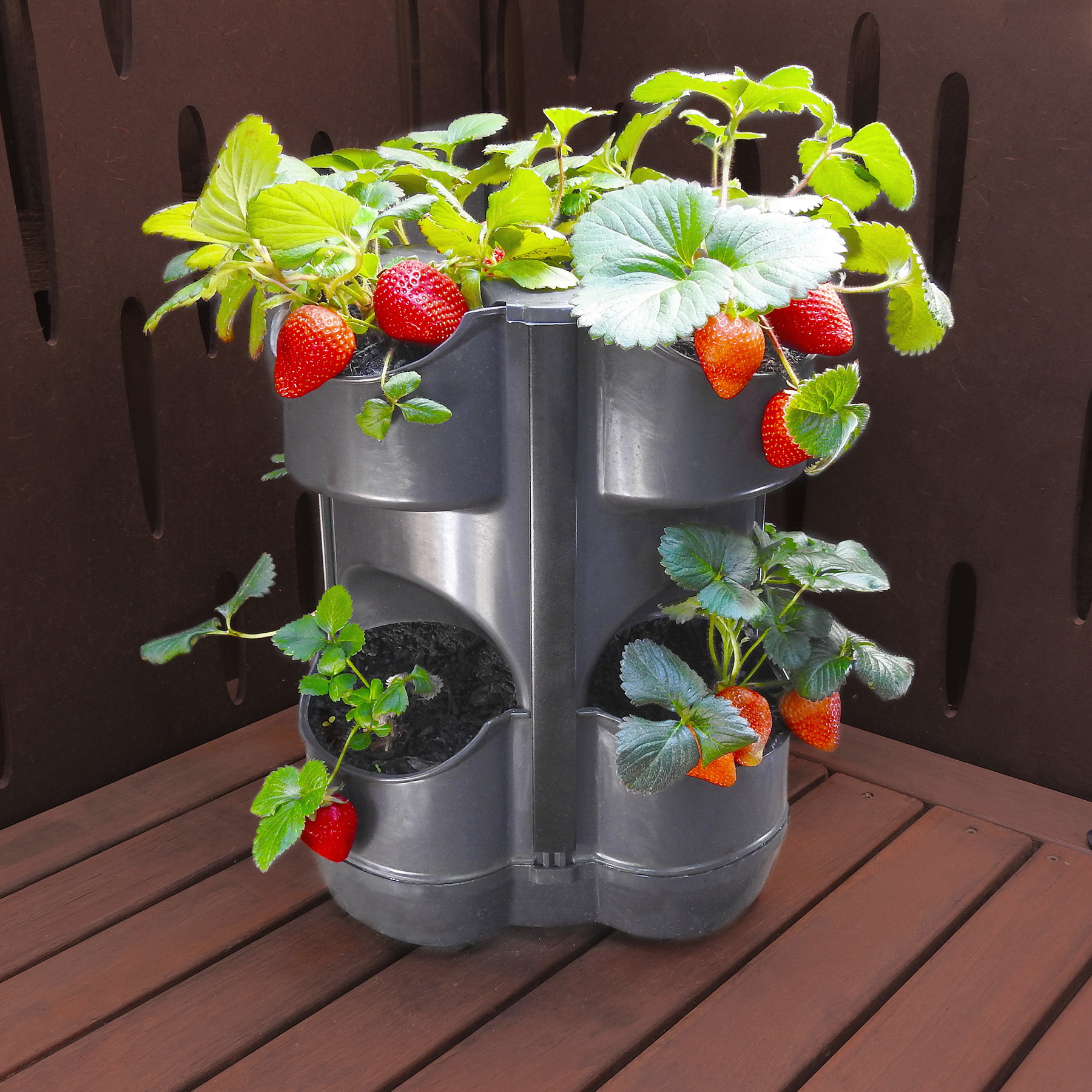 Multi Pocket Planter