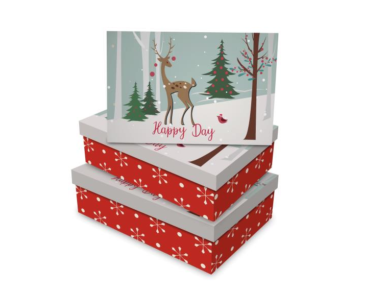 Christmas gift box with flip lid
