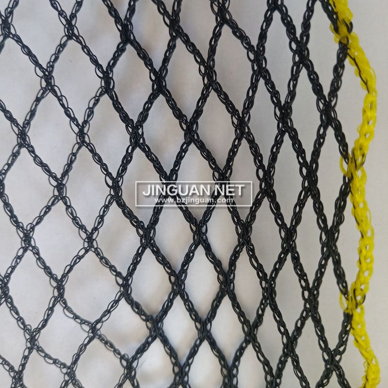 Fishing Net