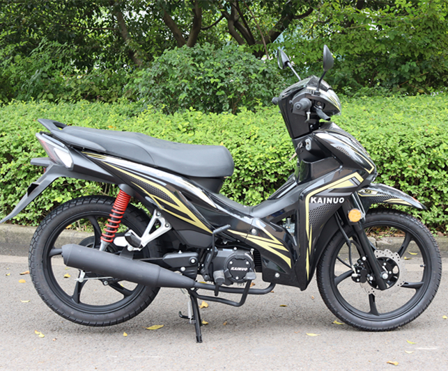 CHONGQING GUANGYU MOTORCYCLE MANUFACTURE CO., LTD. – cadena de bicicleta 1