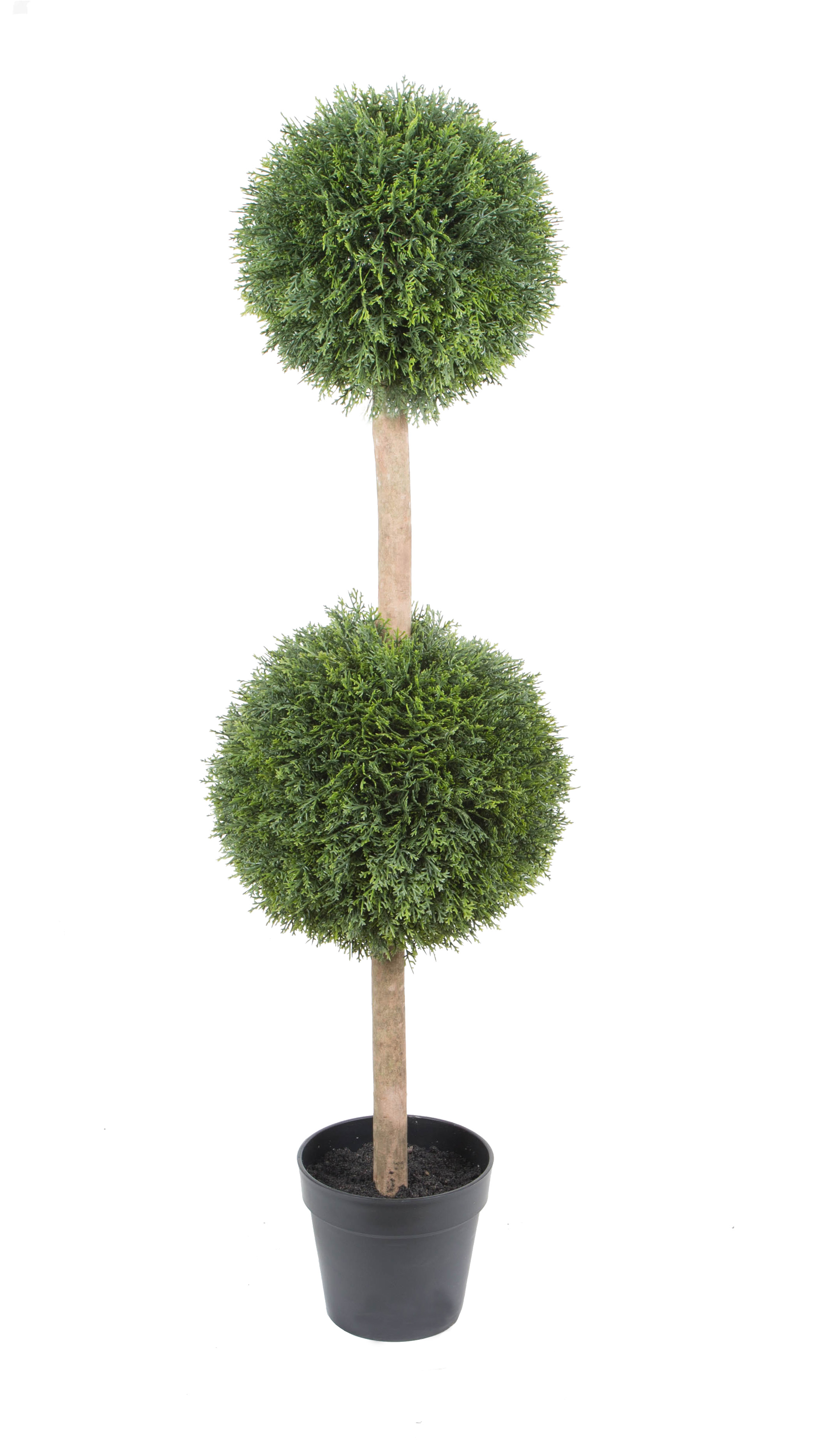 120CM Wood Trunk Cypress2 balls w/pot