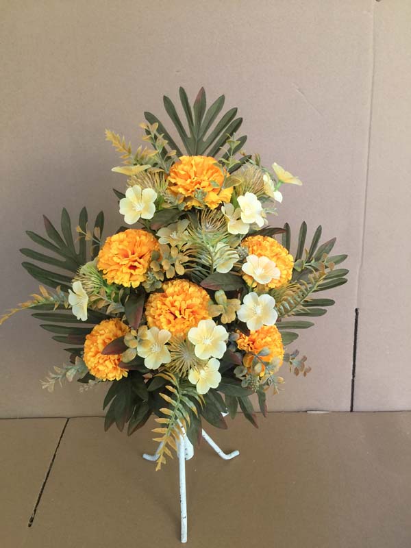 Chrysanthemum