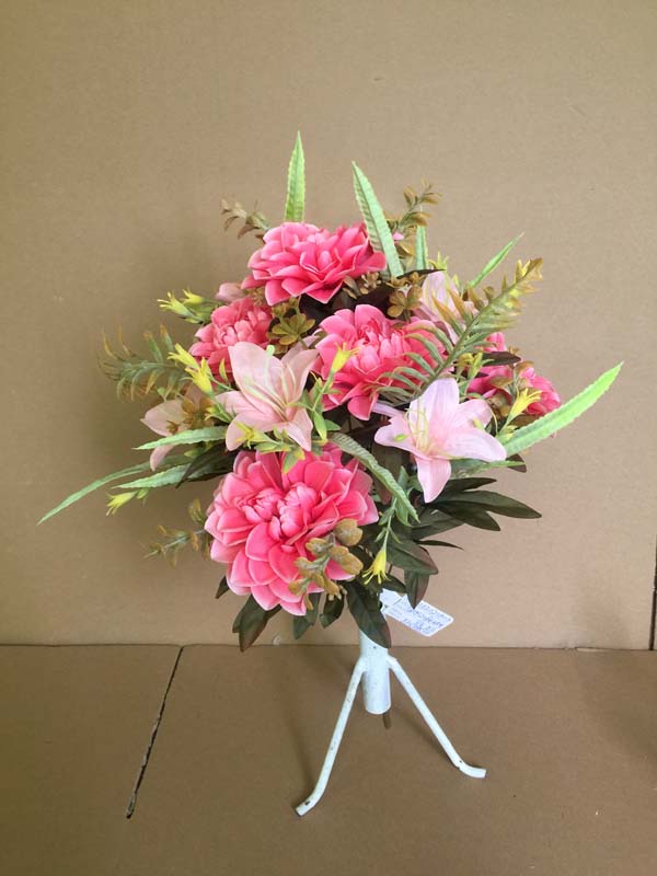 Chrysanthemum