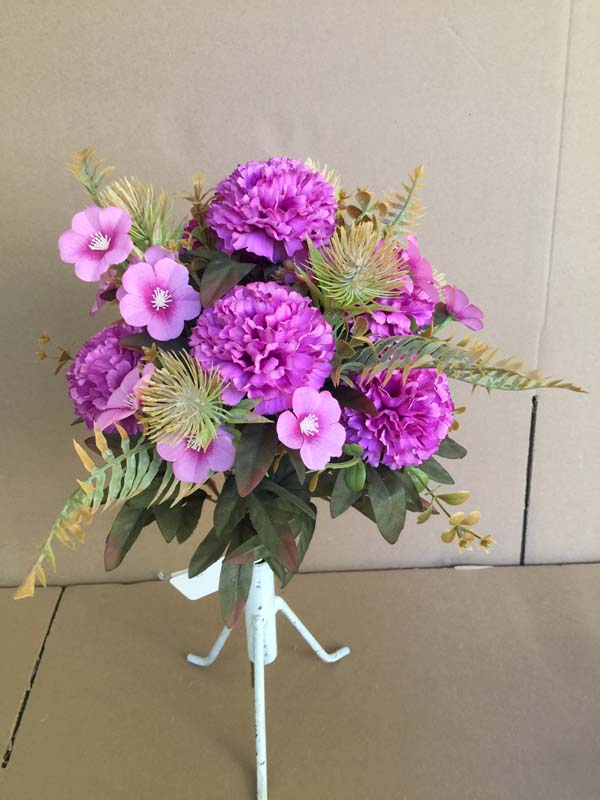 Chrysanthemum