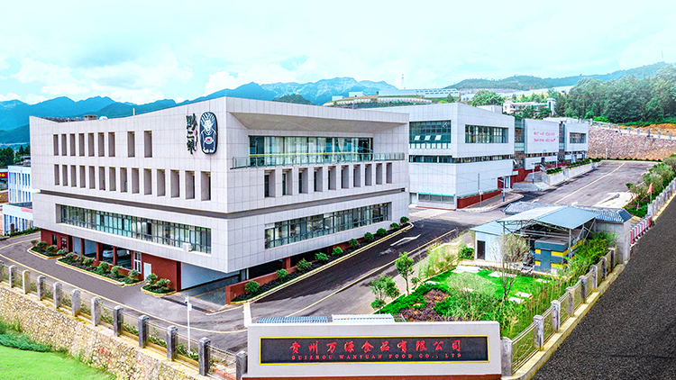 Guizhou Wanyuan Food Co., Ltd. – Other food seasonings 1