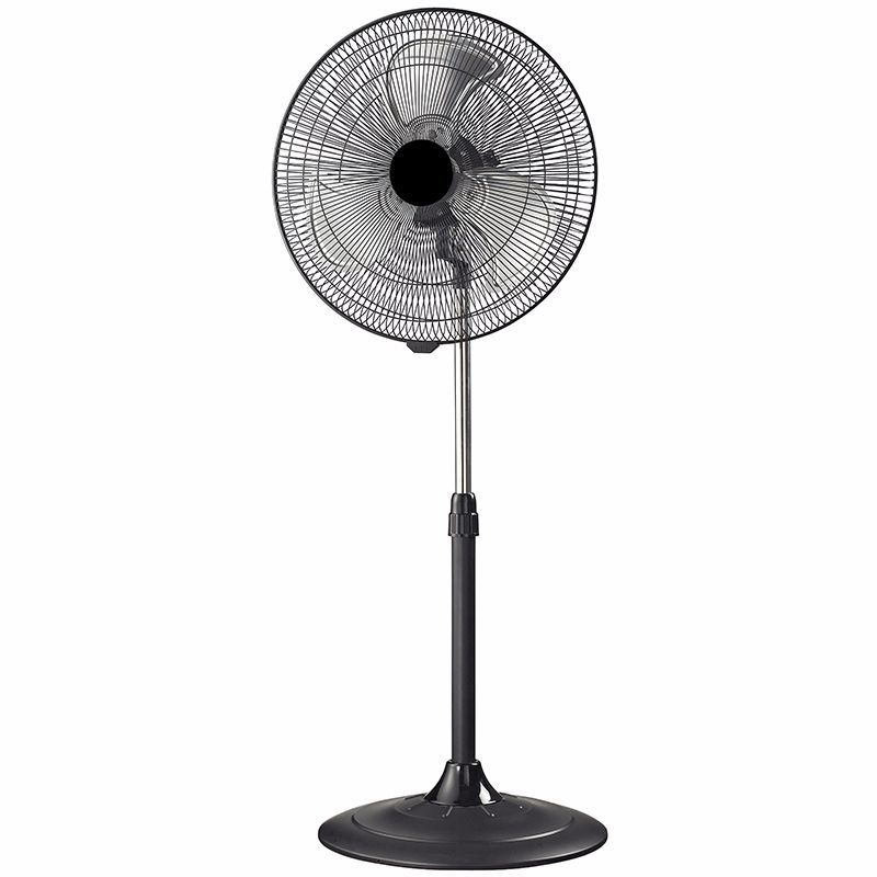 Floor electric fan