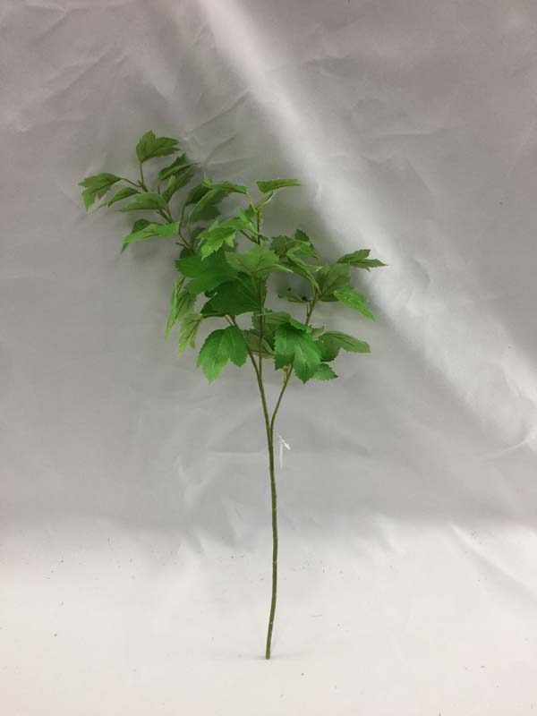 TWIG