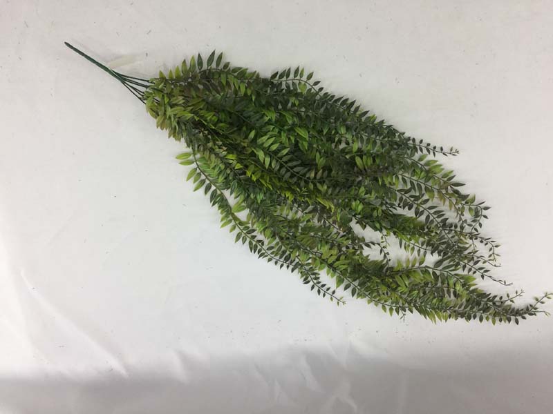 TWIG