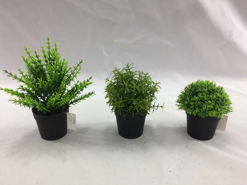pots