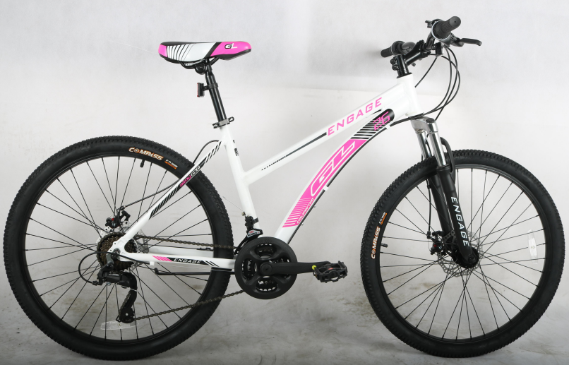 TIAN JIN AIERQI BICYCLE INC. – Electric folding car 1