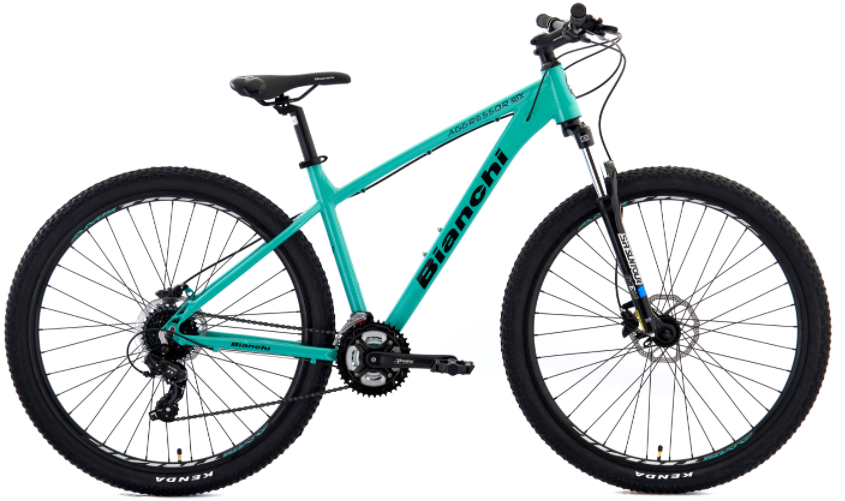 TIAN JIN AIERQI BICYCLE INC. – Female E-bike 3